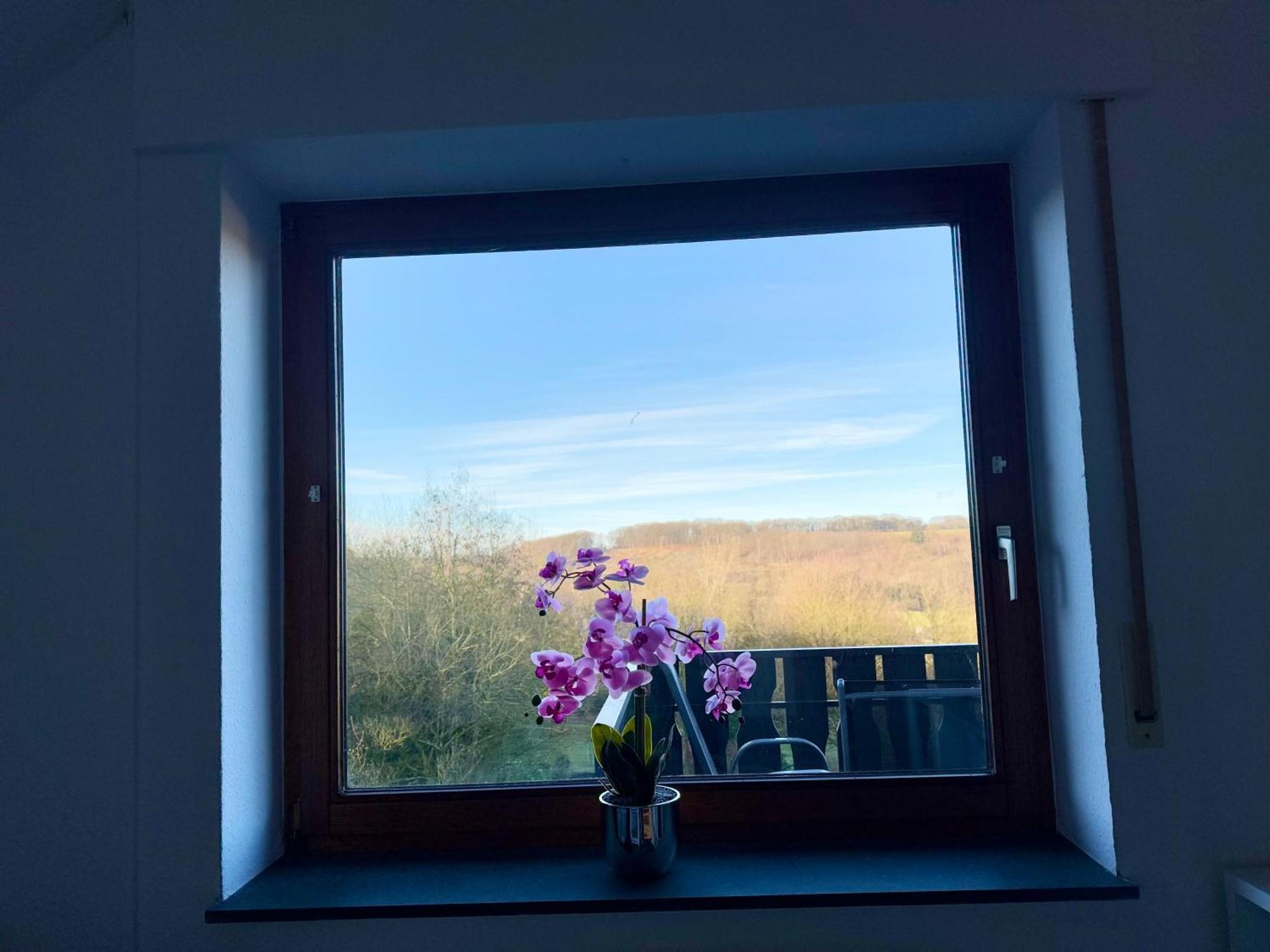 Moehne Ferienwohnung Möhnesee Екстериор снимка